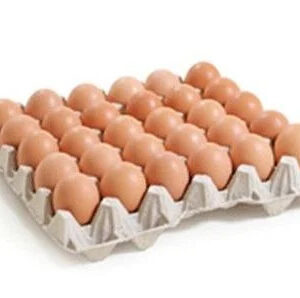 oeuf
