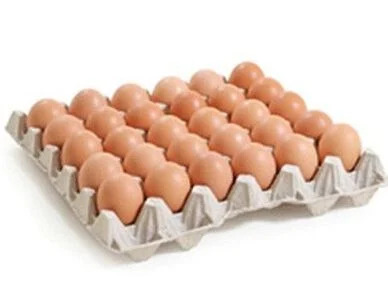 oeuf oeuf